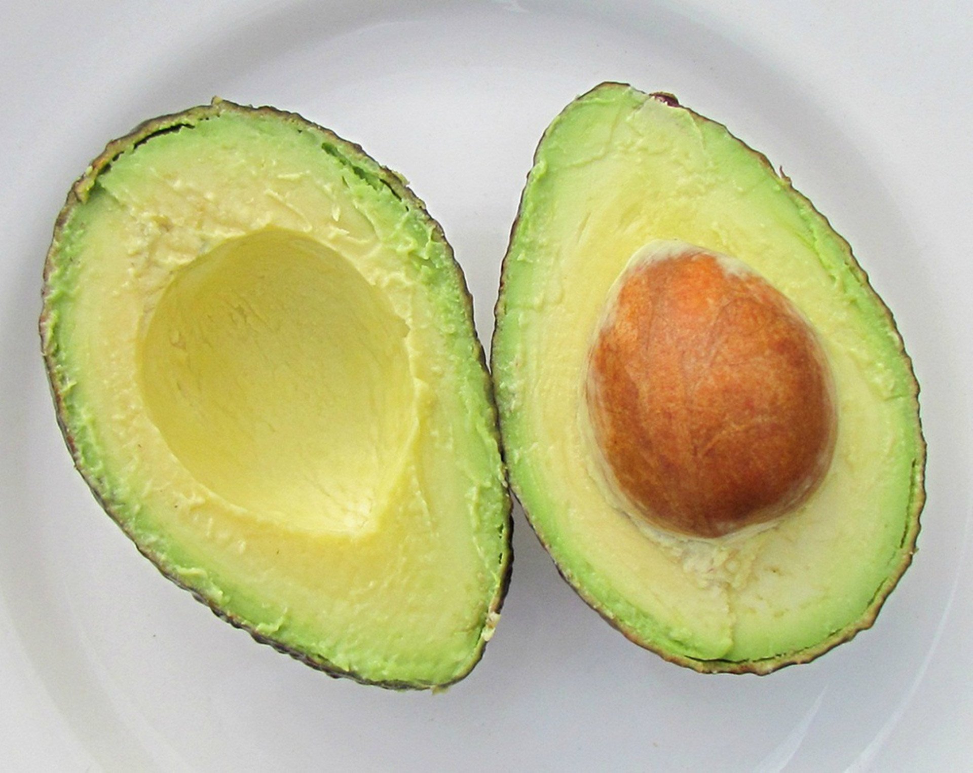 avocado-tasteful-and-healthy-1.jpg